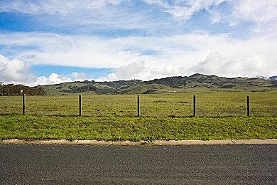 新游《凄凉地之路》上架Steam 末世探索生存